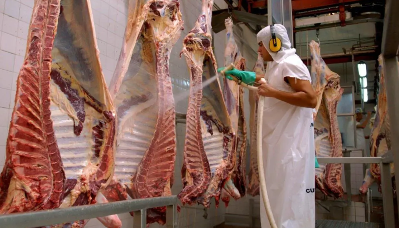 Ministerio de Desarrollo Rural descarta importar carne y contradice al viceministro Mollinedo