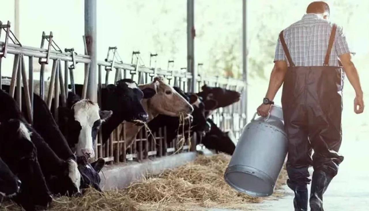 Sector lechero demanda incrementar el precio del litro de leche en un 30%