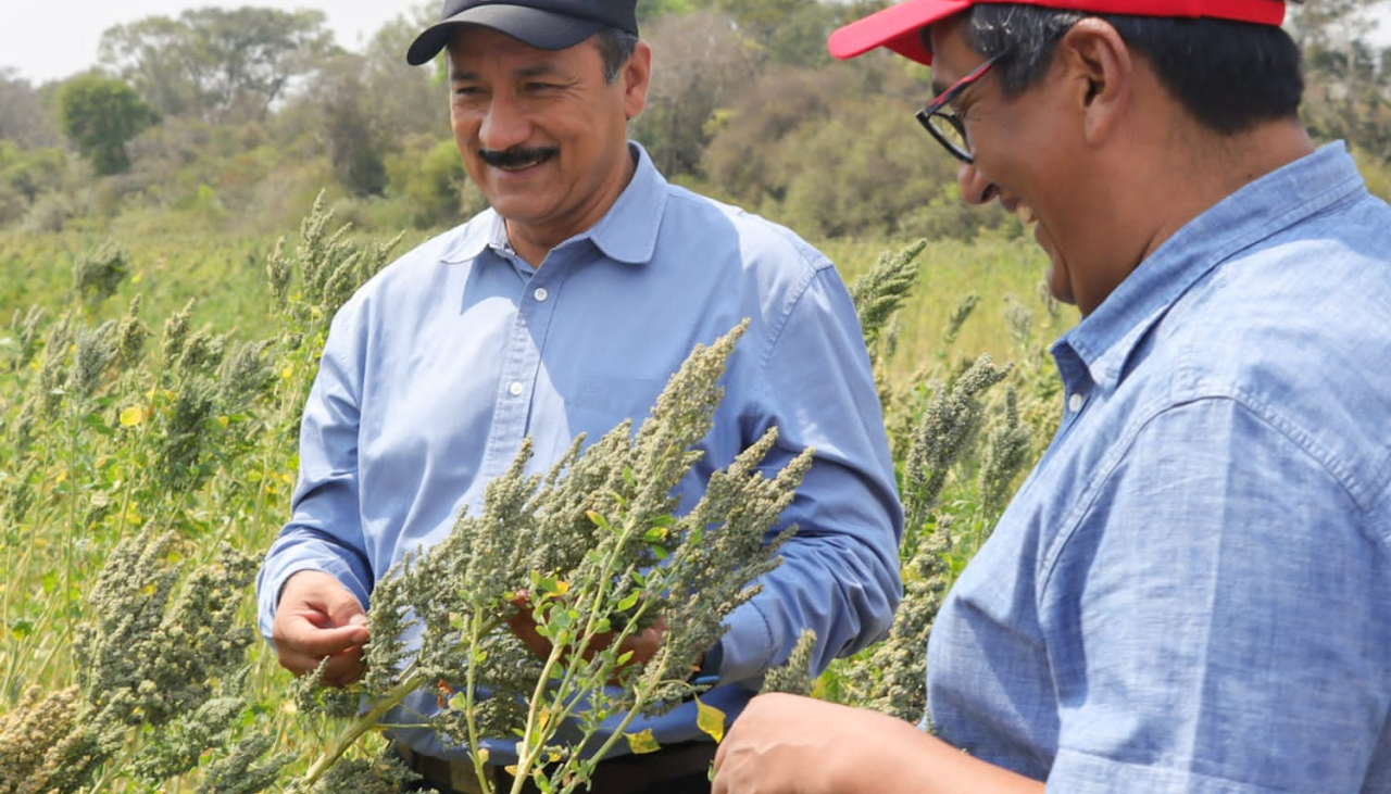 Proyectan que la quinua tropicalizada que se da en Santa Cruz sea exportada a mercados asiáticos