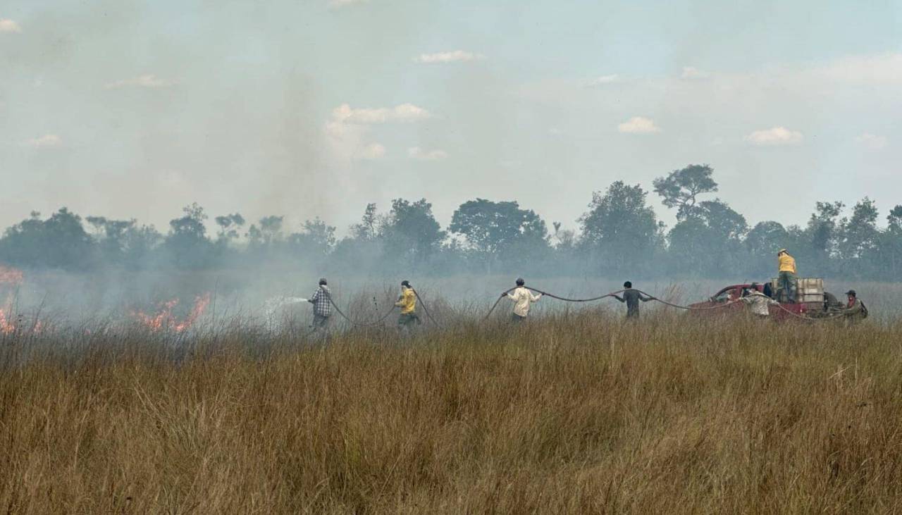 ABT dice que hará cumplir la pausa ambiental, pese a amenazas de campesinos