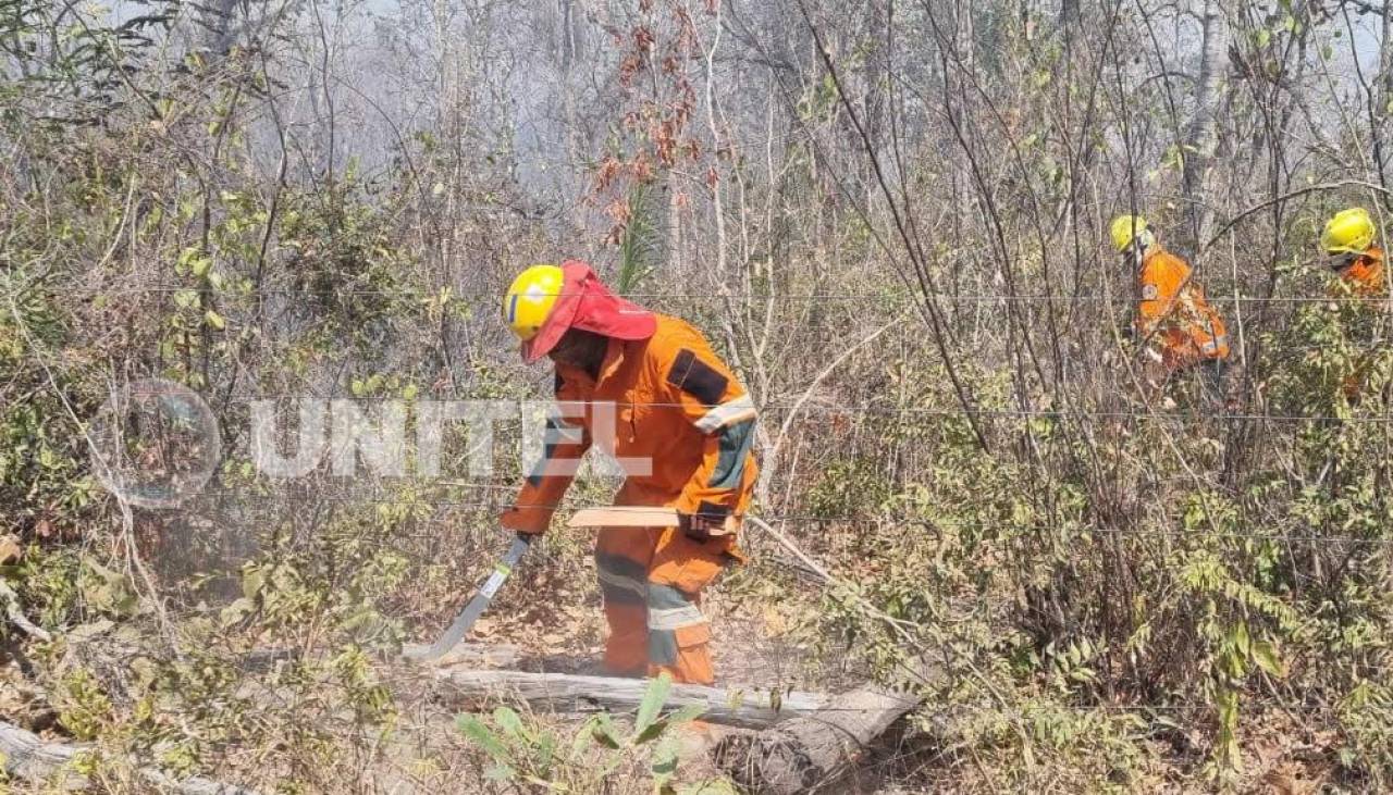 Senado aprueba ley para abrogar norma sobre el desmonte a la que se atribuye las quemas