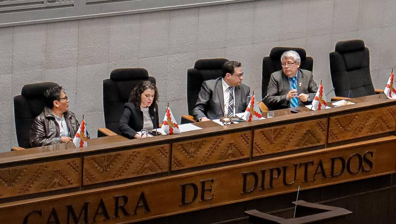 Diputados rechazan la dispensación de trámite para tratar el proyecto que busca abrogar la ley conversión de tierras
