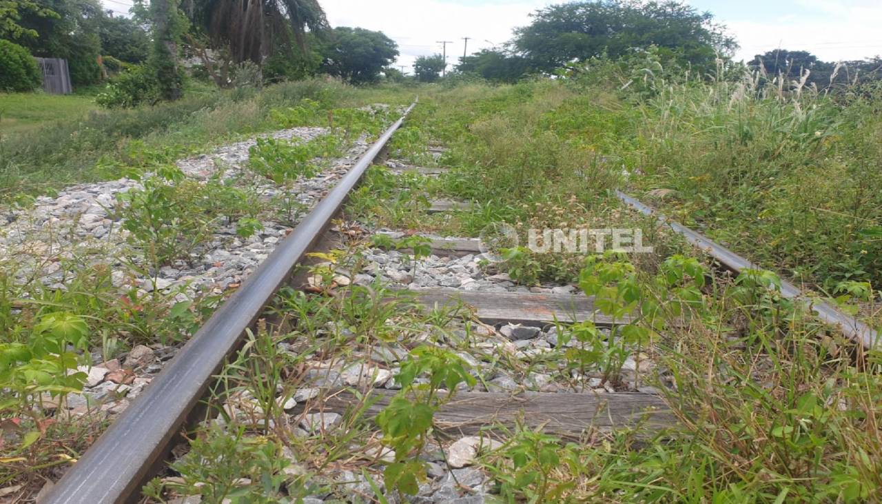 Hombre desmembrado por un tren en Santa Cruz dio positivo al test de alcoholemia