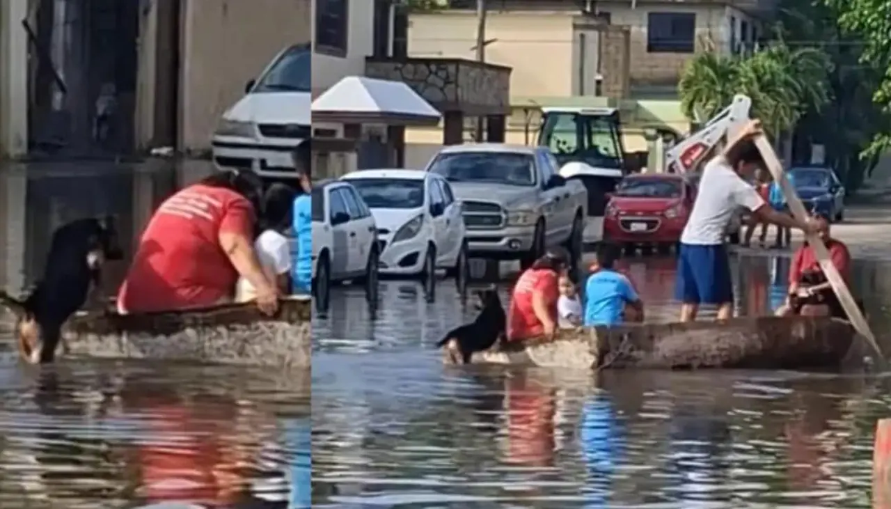 ¡Héroe de cuatro patas! Perro ayuda a su familia a empujar una lancha durante las inundaciones en México 