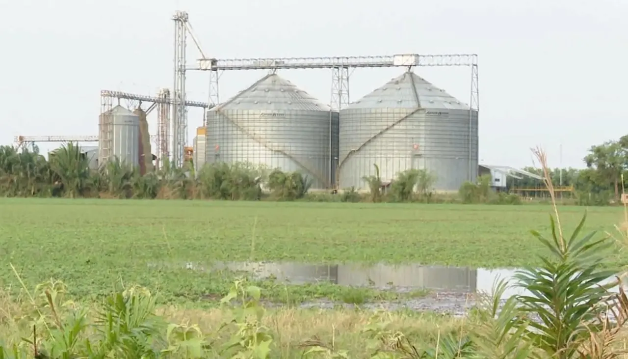 Productores de soya y arroz se reúnen el lunes para definir medidas por la falta de diésel, según dirigente