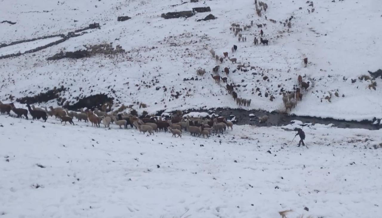 Tres municipios se declaran en desastre en Cochabamba debido a las nevadas