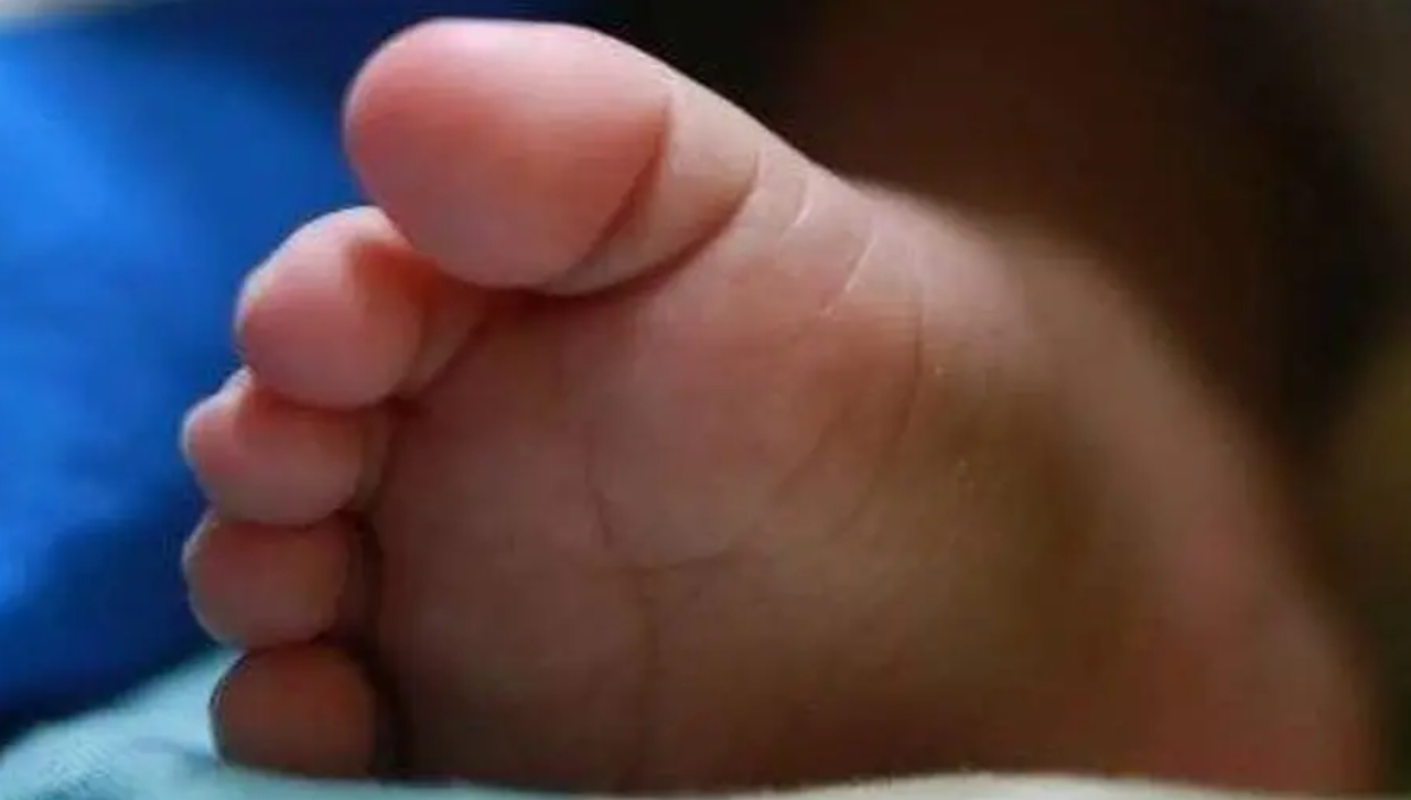 Mujer que encontró a mellizos abandonados afirma que estaban descuidados y ahora quiere adoptarlos