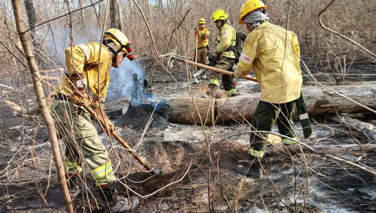 Pese a la lluvia, el fuego persiste en Santa Cruz: reportan ocho incendios forestales y más de 146.000 hectáreas afectadas