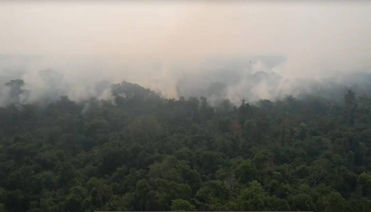 El fuego avanza en el Bajo Paraguá y amenaza el plan de manejo del asaí del que dependen 150 familias