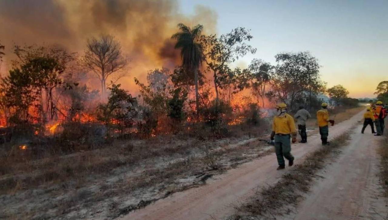 Senado aprueba la abrogación de la Ley 1171 de Uso y manejo nacional de quemas, señalada como ‘incendiaria’