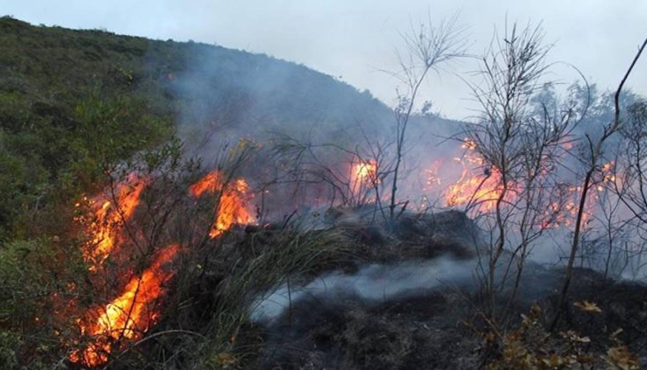 INRA confirma avasallamientos en reserva Bajo Paraguá y diputada dice que en la zona se dieron incendios provocados