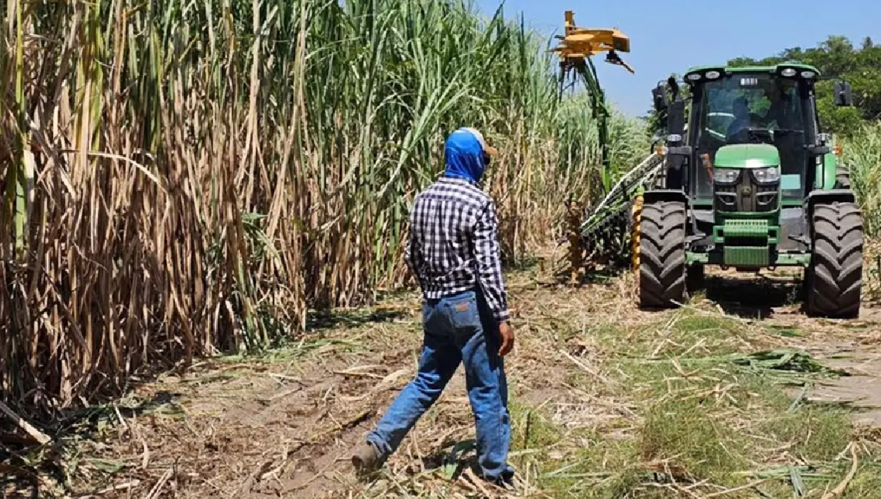 Cañeros exigen pago de más Bs 300 millones por la provisión de etanol y dan ultimátum
