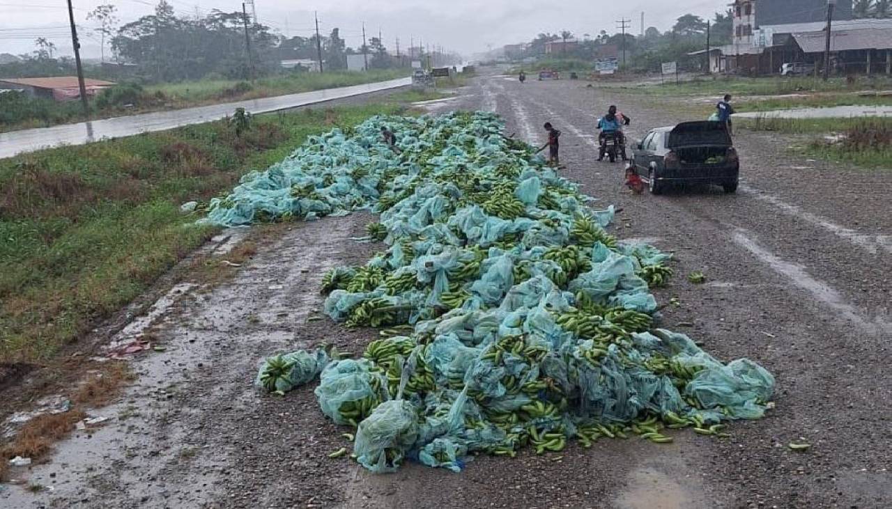 Bloqueos: Bananeros tiran su producción en carretera como protesta y reportan pérdidas por $us 5,5 millones