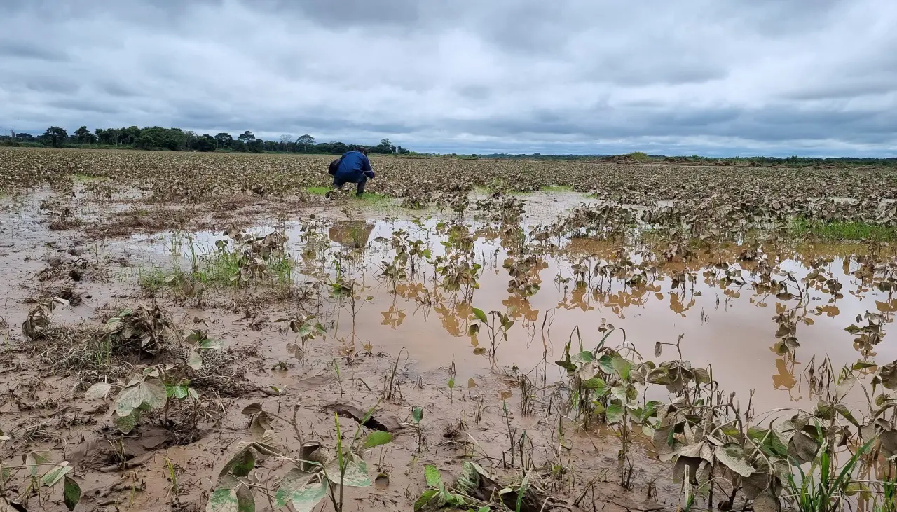 A la falta de combustible, los cultivos de soya y arroz deben enfrentar riadas e inundaciones en el norte cruceño