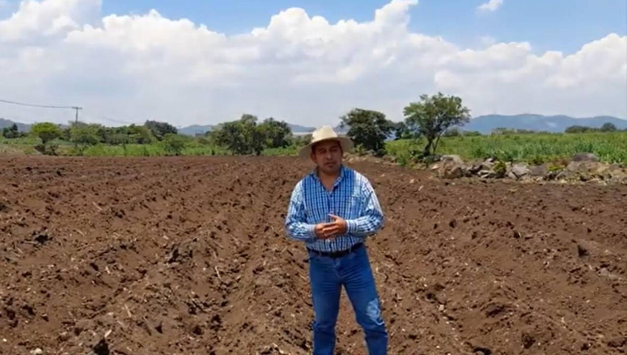 Hay soyeros que “van a cambiar de cultivo o de rubro” por la falta de viabilidad para la siembra y las pérdidas, señala Anapo