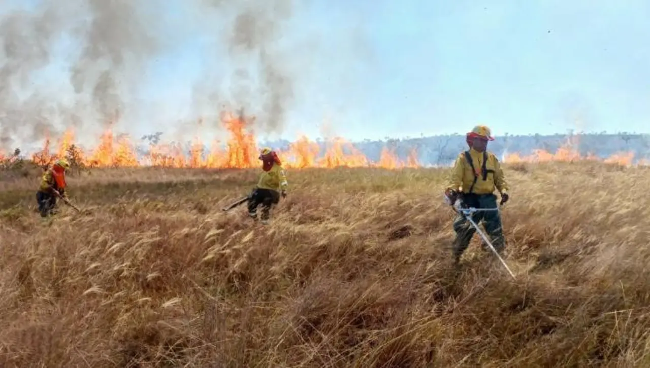 Reportan ocho incendios forestales en el país y combate del fuego en el Parque Noel Kempff se hace vía aérea 