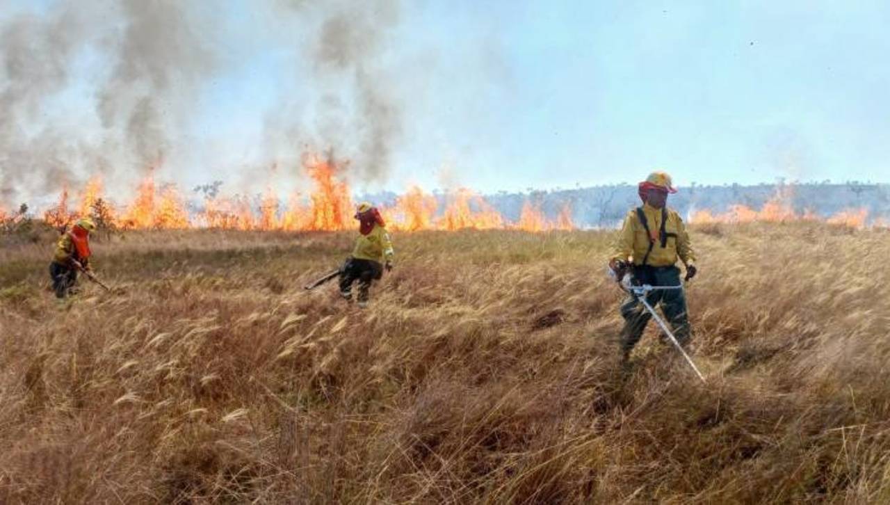 Reportan ocho incendios forestales en el país y combate del fuego en el Parque Noel Kempff se hace vía aérea 