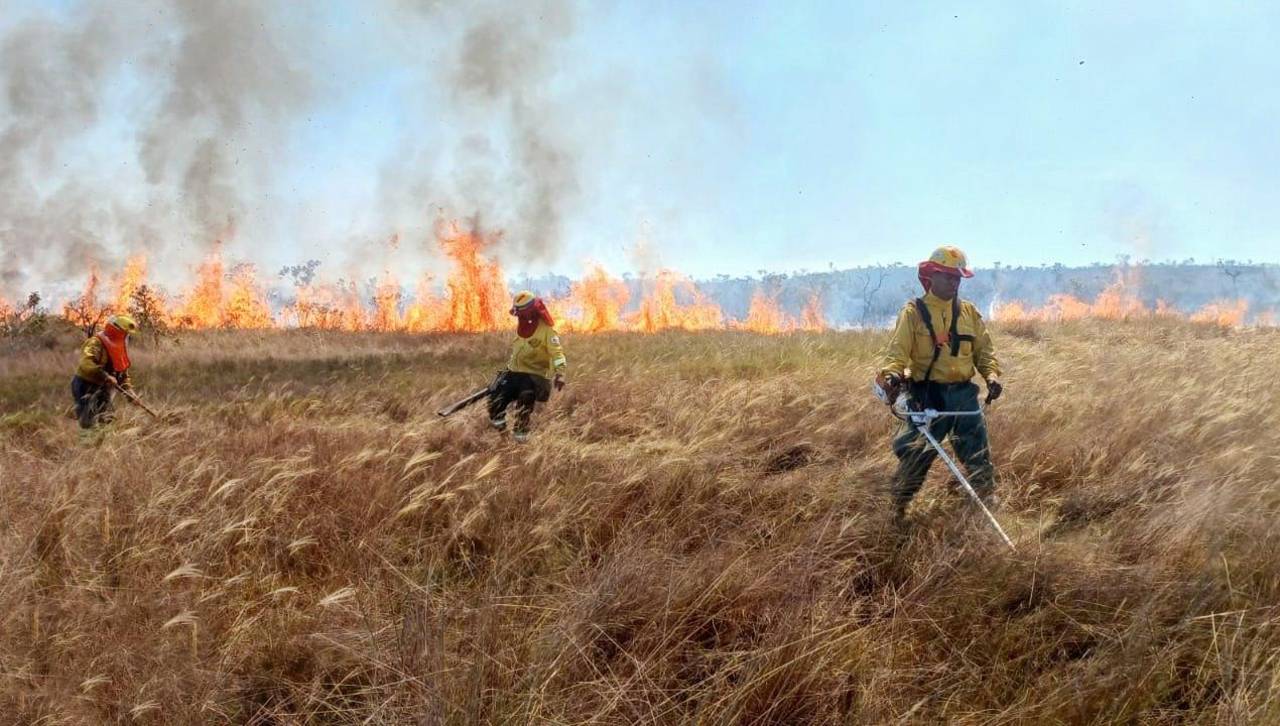 Tribunal Agroambiental ordena a instituciones del Estado coordinar medidas nacionales y subnacionales contra incendios forestales