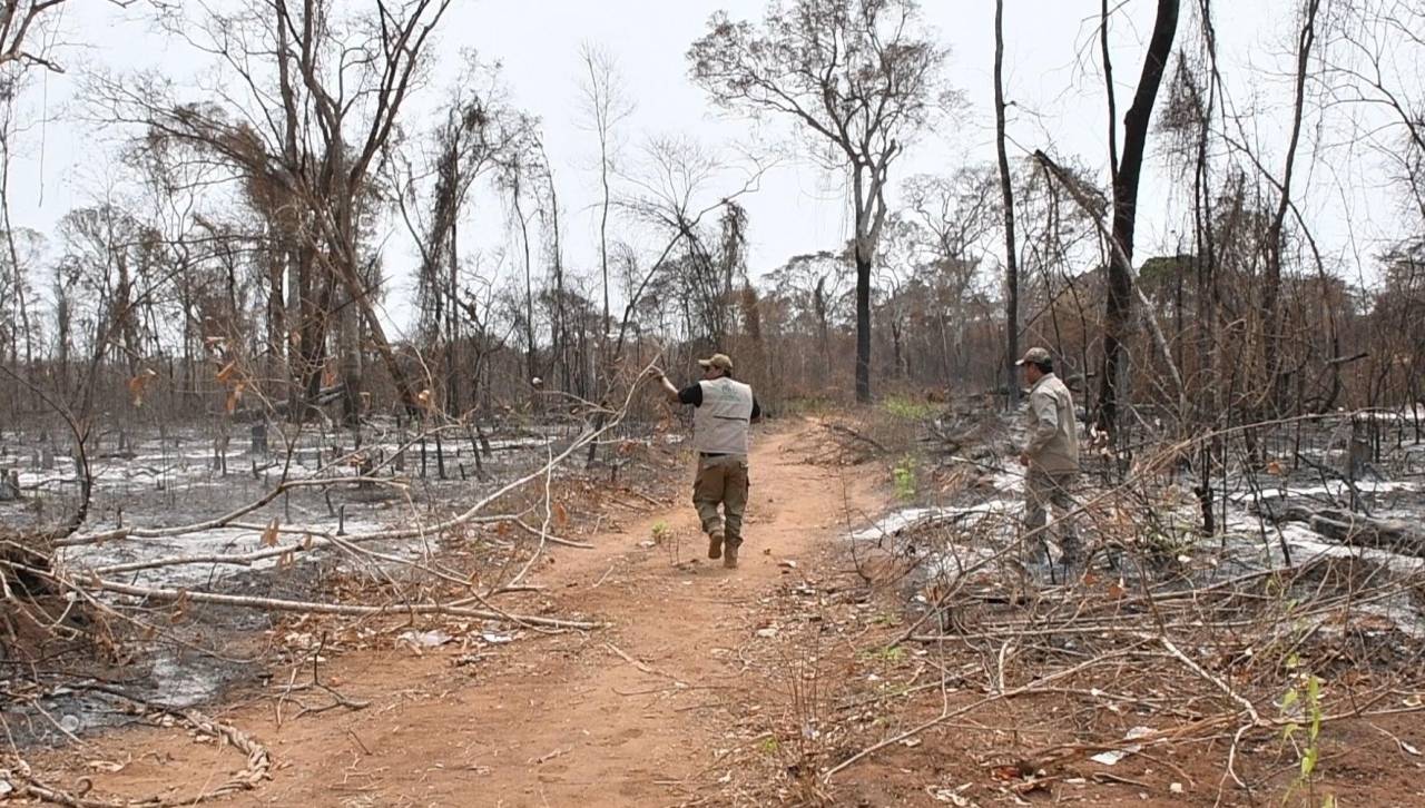 Activan seis procesos administrativos contra “supuestas comunidades” por desmonte en el Bajo Paraguá 