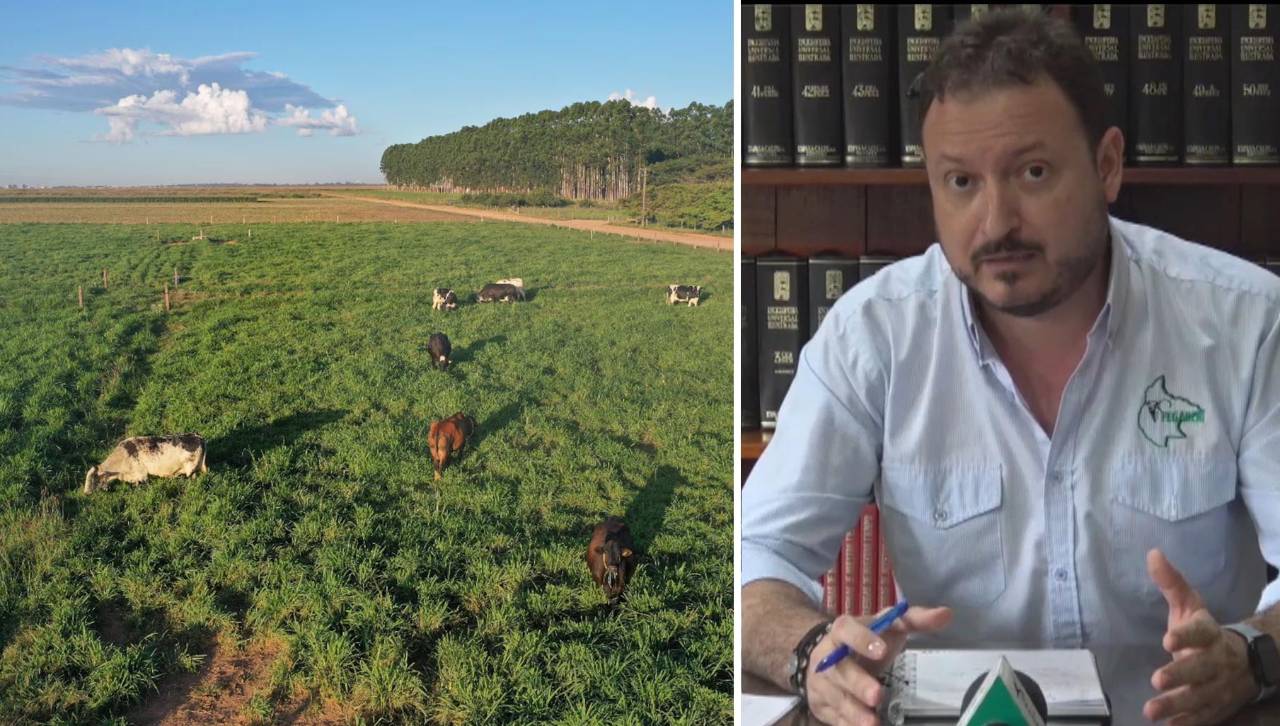Conversión de tierras: Ganaderos dicen que ley se socializa hace 7 años y ven interés político en pedido de abrogación 