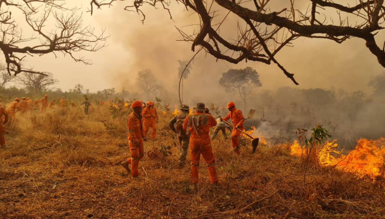 Los incendios forestales ya arrasaron con 9,8 millones de hectáreas en Bolivia, reporta el INRA