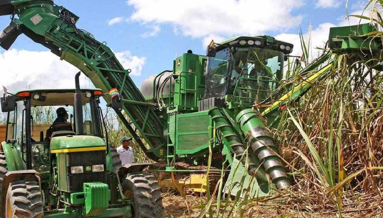 “Se para la cosecha”: Falta de diésel pone en riesgo la zafra y la producción de etanol, advierten cañeros