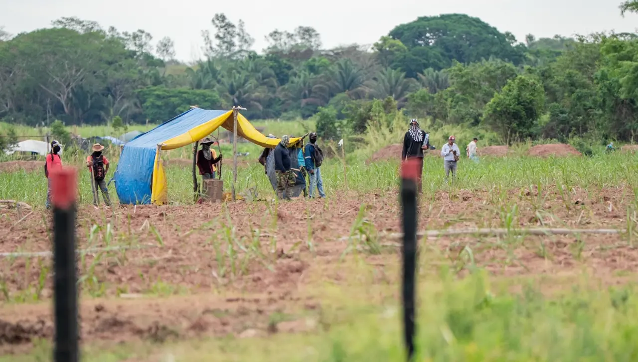 En 20 años, productores advierten al menos dos tipos de delito en casos de avasallamiento