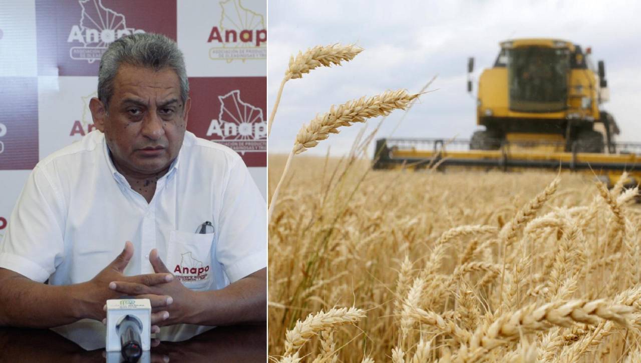 “Desabastecimiento total de diésel”: Anapo alerta riesgo de pérdida 2,5 millones de toneladas de granos estratégicos