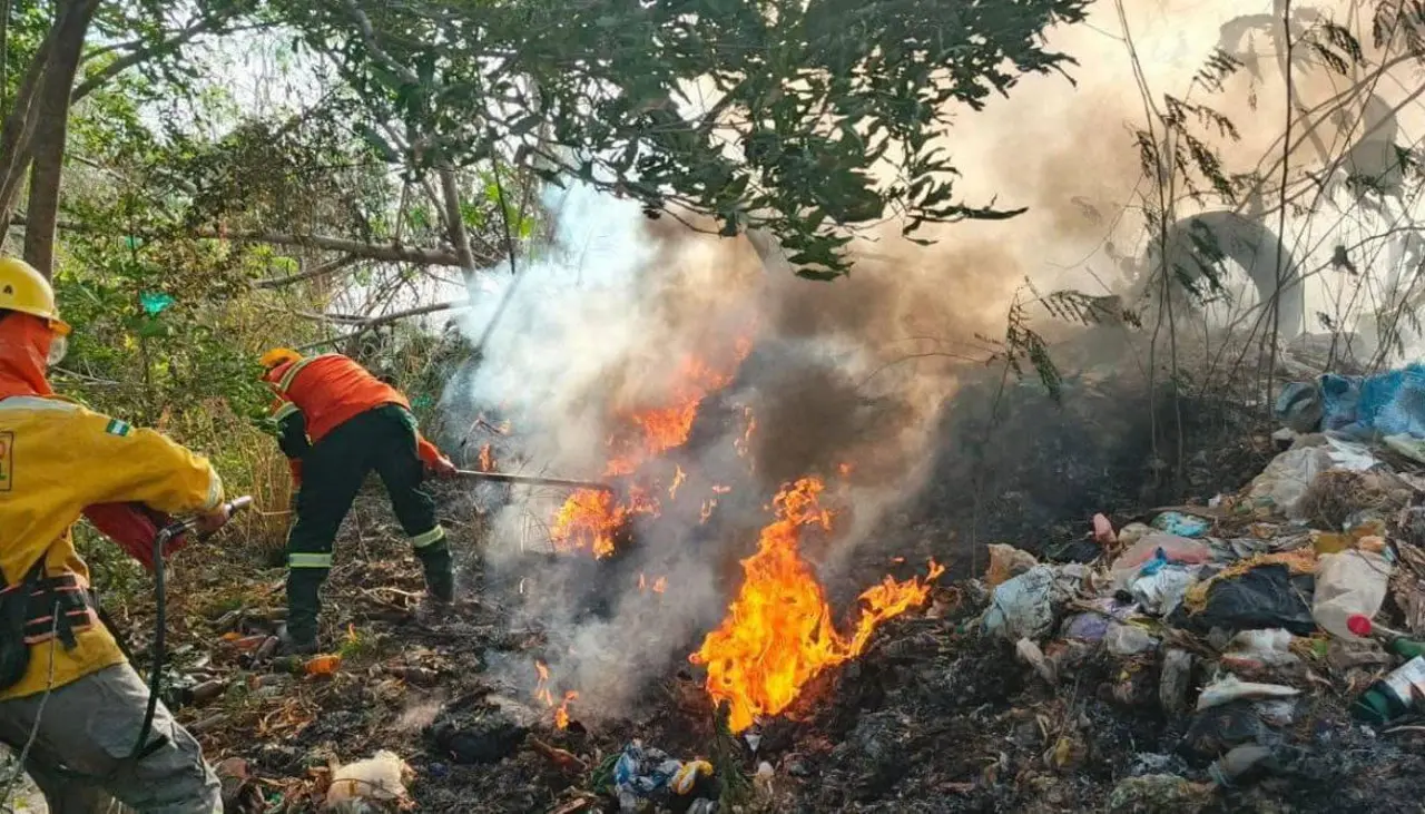 Gobierno declara emergencia nacional en Bolivia por incendios forestales