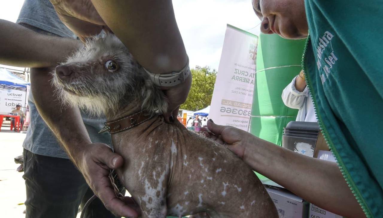Con sus mascotas en brazos, familias participan de la vacunación antirrábica en toda Bolivia