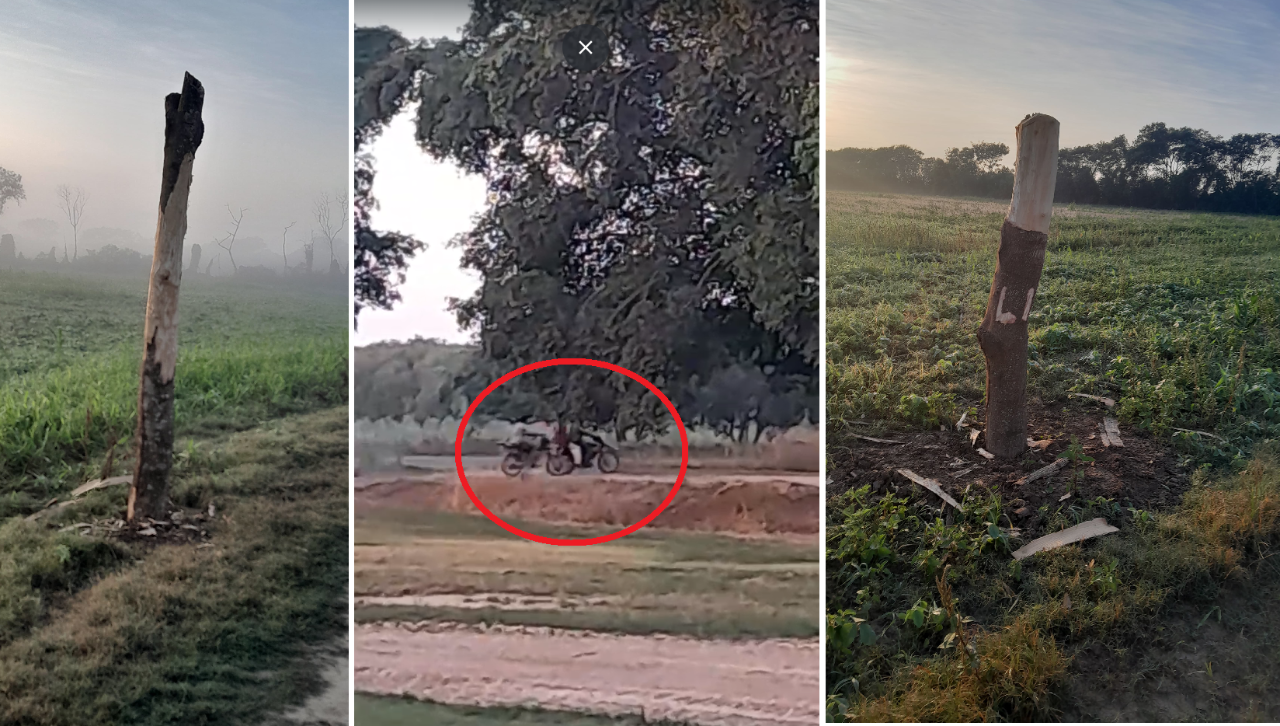 Anapo advierte inacción del Gobierno tras avanzada de avasalladores en Pozo del Tigre