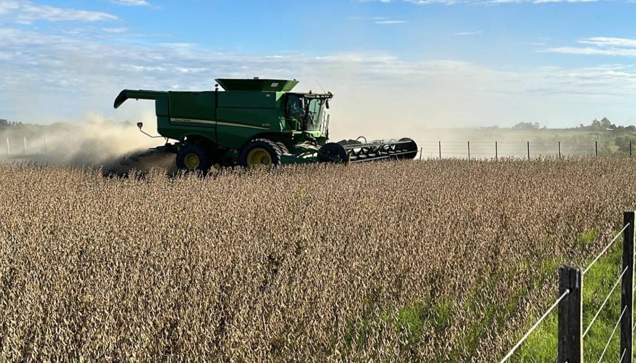 Productores de oleaginosas y trigo reportan pérdidas de $us 80 millones por los bloqueos