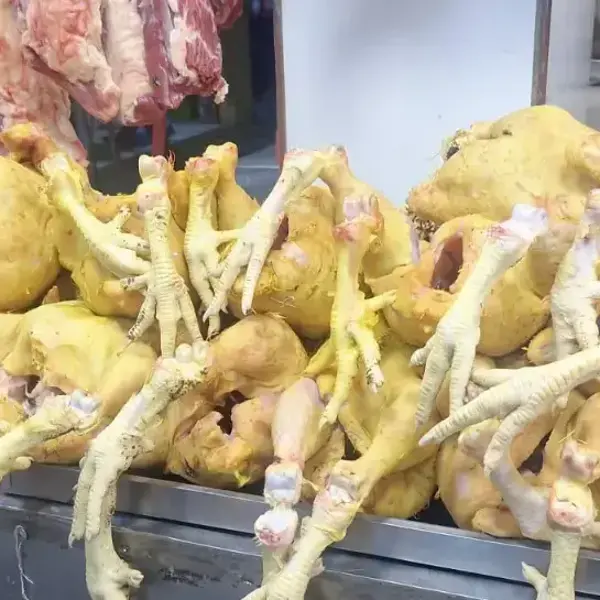 Productores reportan pérdidas ante la baja del precio del kilo de pollo en los mercados