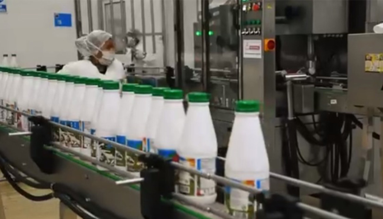 Productores de Tarija y Beni denuncian que estatal EBA no les recibe leche para acopiar