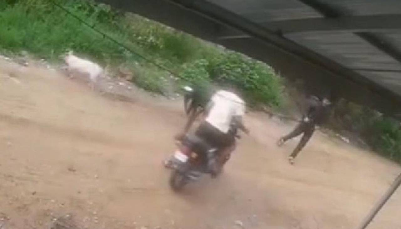 Video: Tres hombres en moto intentaron robar cerdos en Montero 