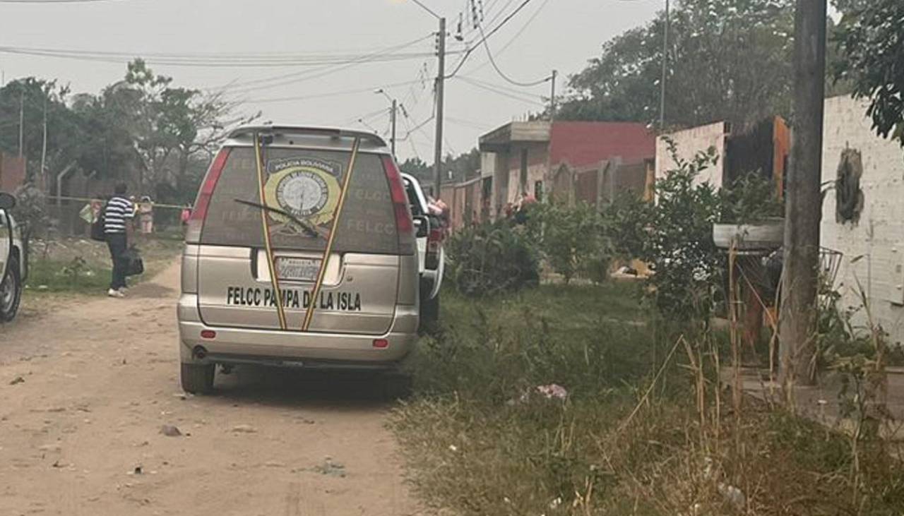 Infanticidio: niño en la Pampa de la Isla falleció por múltiples golpes y se reveló un drama familiar