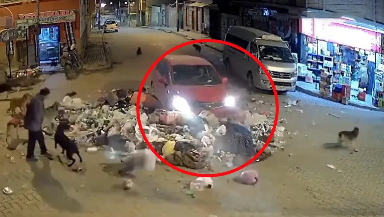 Imágenes sensibles: Mujer que recolectaba basura junto a sus mascotas fue arrollada por un vehículo