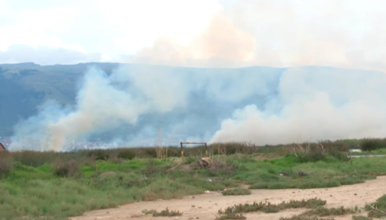 Incendio forestal en la laguna de Quenamari afectó a varias especies nativas y animales