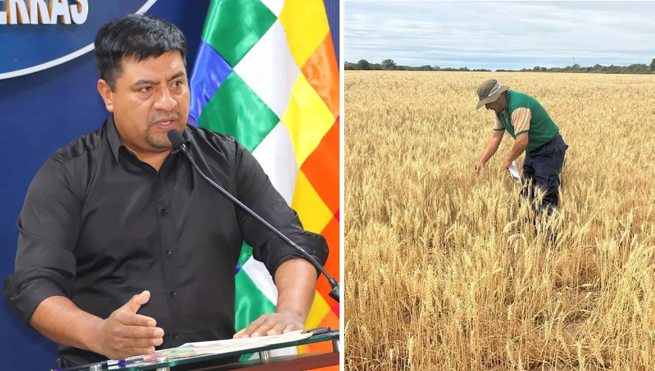 Ministro dice que entregarán un país “autosuficiente” en producción; agropecuarios advierten déficit