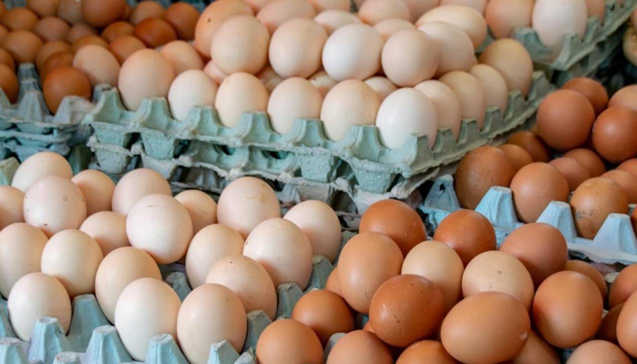 Día Mundial del Huevo: celebra 30 años como protagonista de la alimentación 