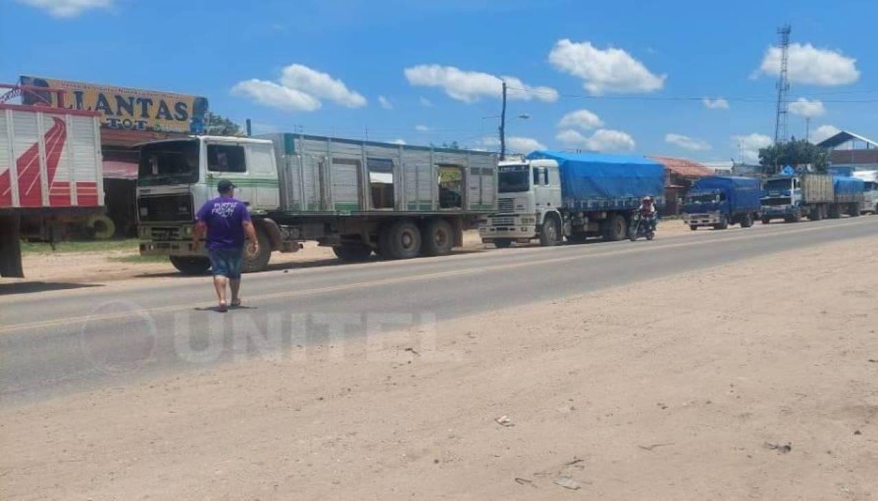 Falta de diésel paralizó el 70% de las actividades del transporte pesado cruceño, señala dirigente