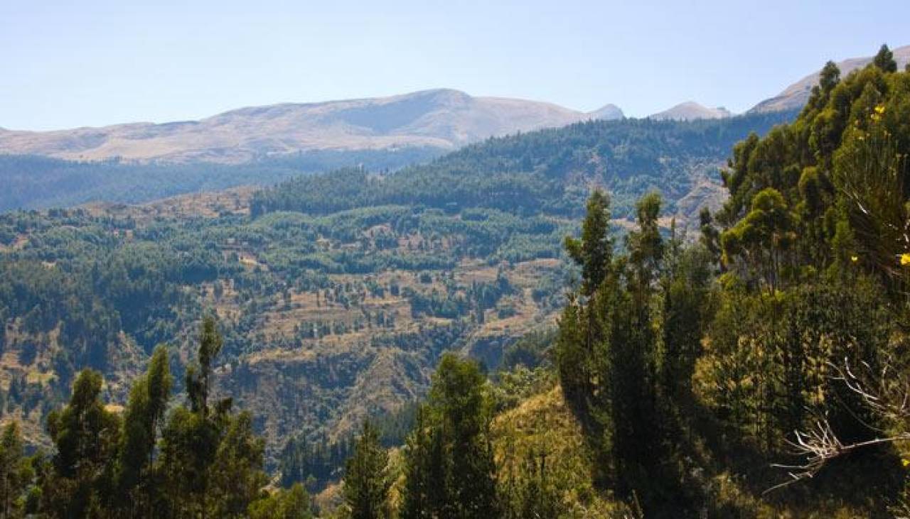 Para prevenir incendios, restringen el ingreso al Parque Tunari en Cochabamba