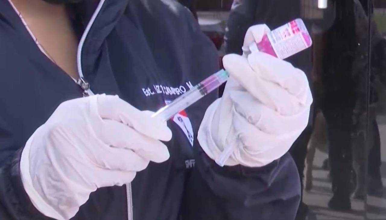 Cochabamba alista campaña masiva de vacunación antirrábica ante el incremento de casos de rabia