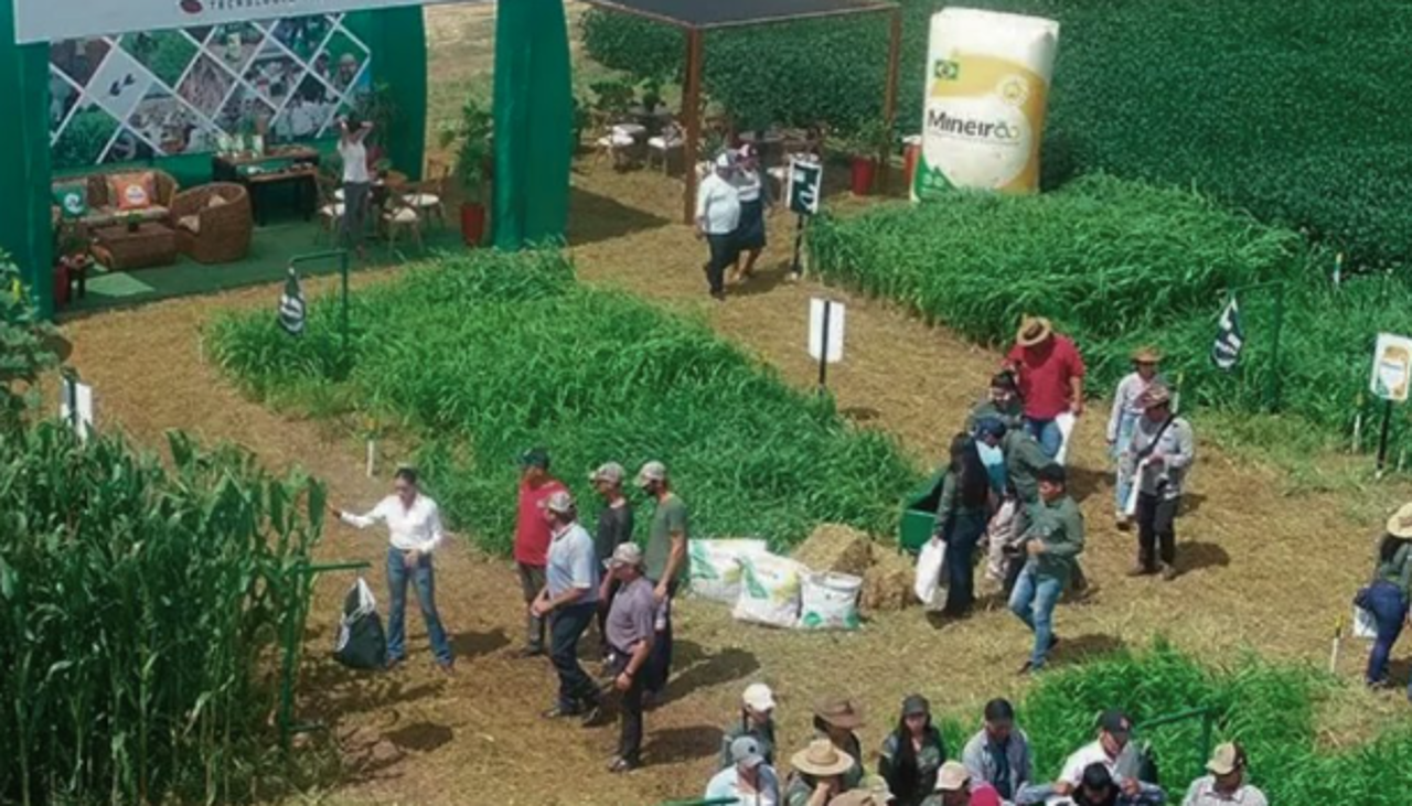 Exposoya 2026, el evento que impulsa la producción sostenible, abre sus puertas este viernes