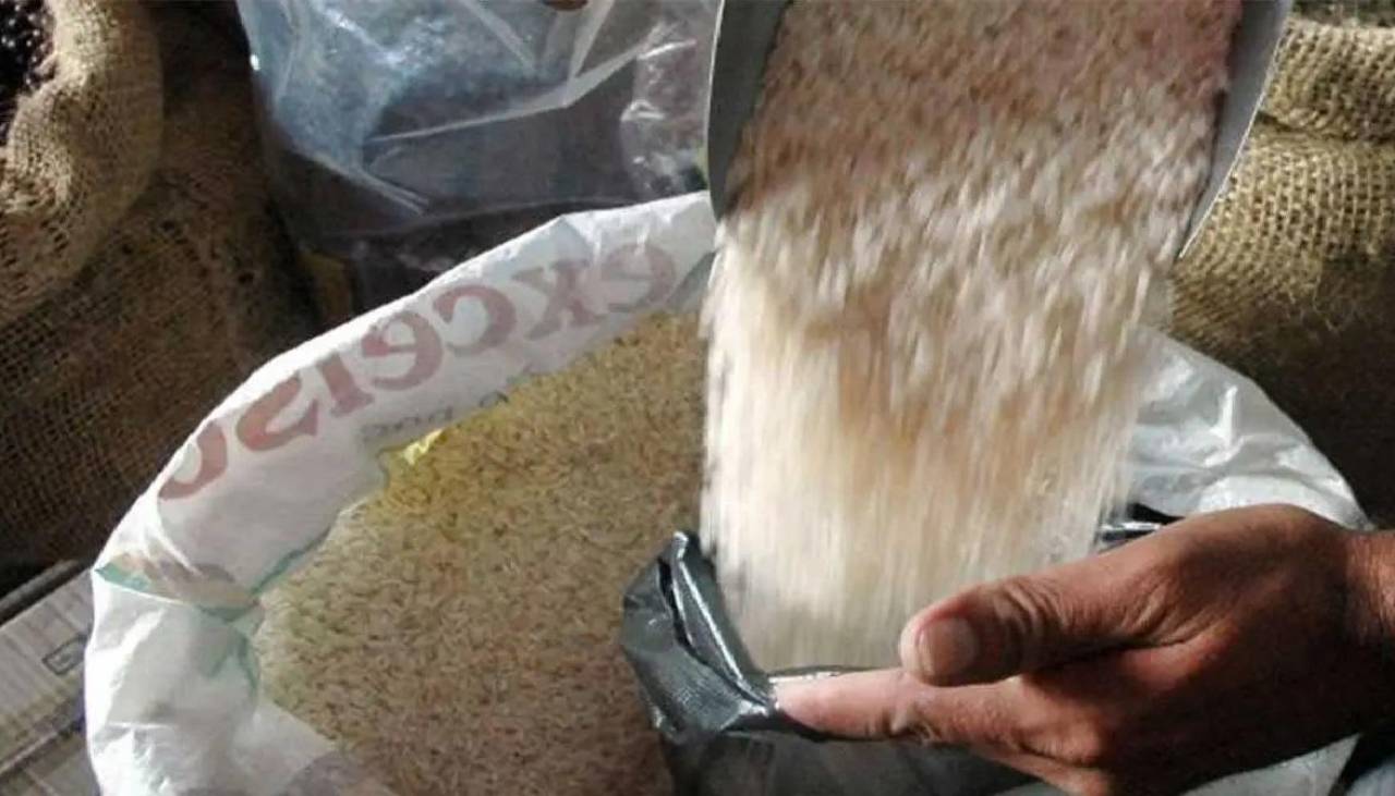 Debido a la incertidumbre de la siembra, productores de arroz migran a otros cultivos, según Fenca