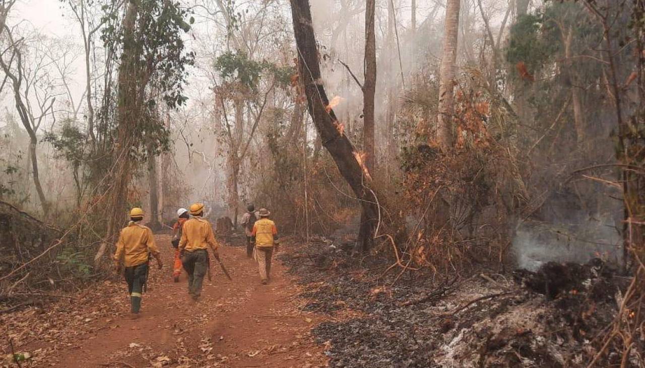 Gobierno dice que no se legalizará asentamientos en zonas afectadas por incendios