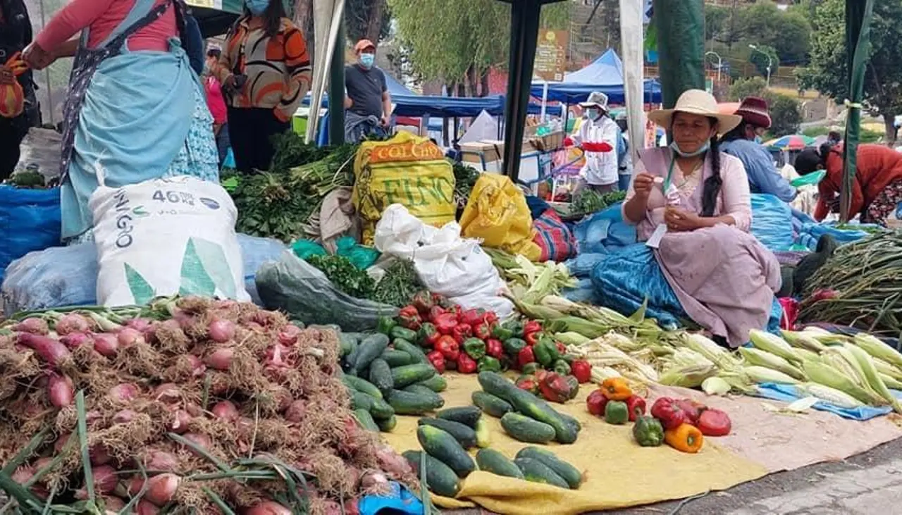 Caída histórica del PIB: Bolivia no registraba decrecimiento en su economía desde hace 39 años