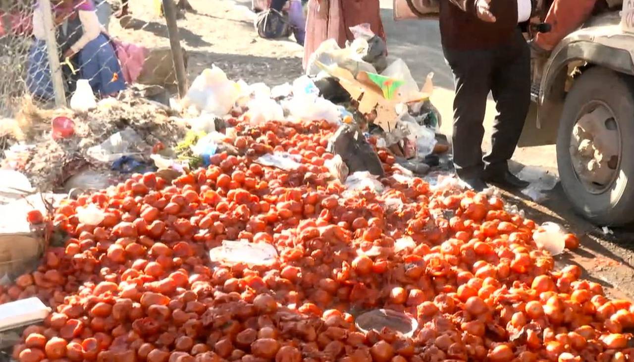 Bloqueos: Productor desecha cajas de tomate tras demorar 15 días en llegar de Santa Cruz a La Paz
