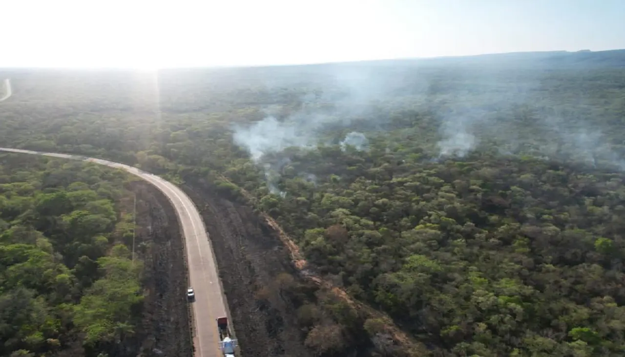 Se dispara a 22 la cifra de incendios en Santa Cruz y la emergencia no cesa