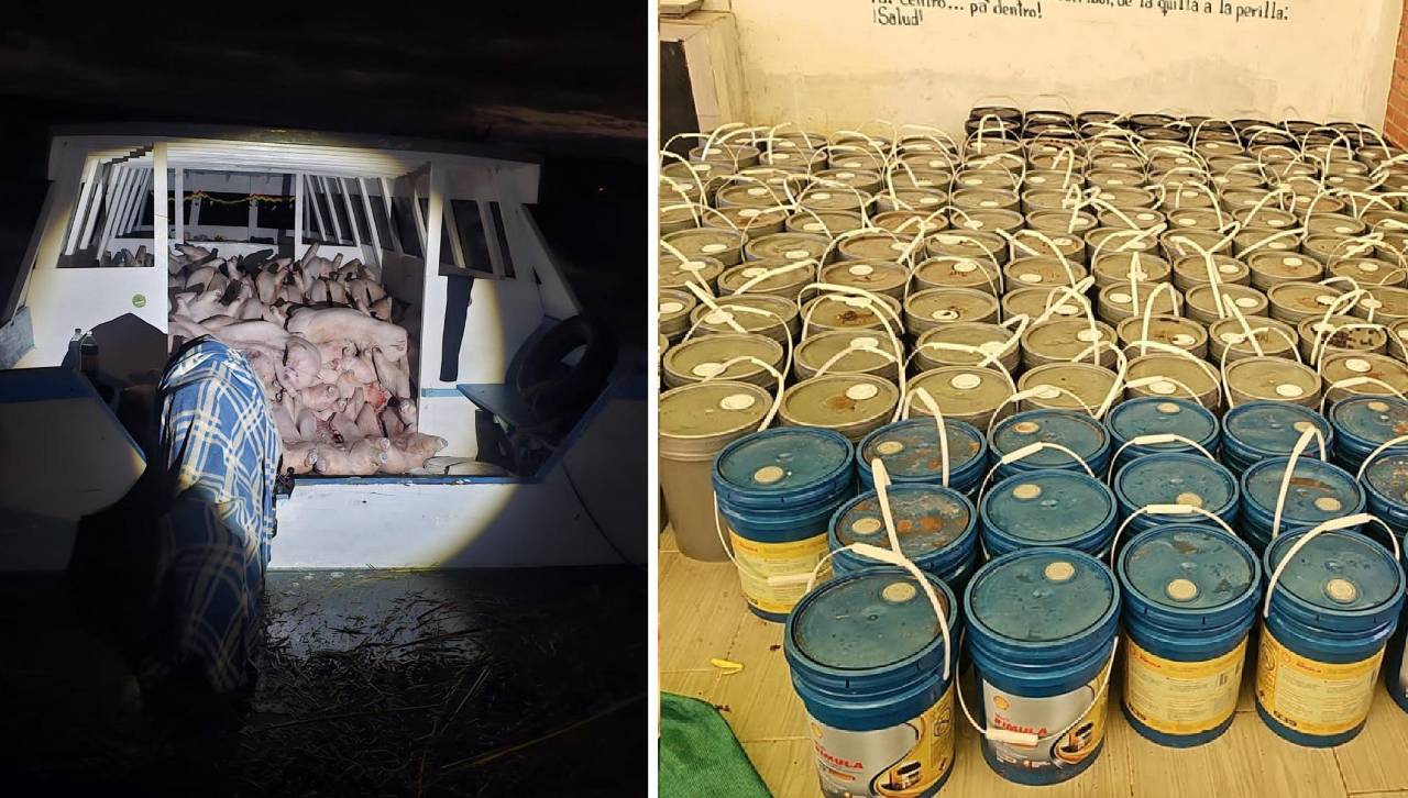 Golpe al contrabando en el Titicaca: Caen embarcaciones con cerdo y productos automotrices